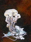 Magic Mushrooms 2